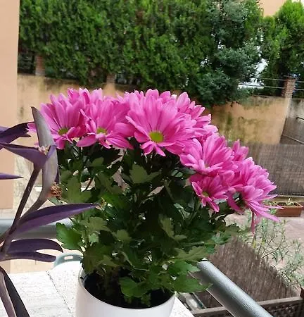 Appartement Holiday Home Roma *
